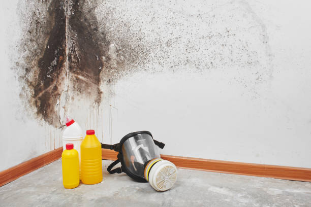 Best Attic Mold Removal  in Chattahoochee Hills, GA